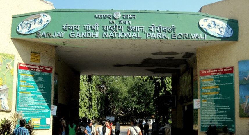 5. Sanjay Gandhi National Park